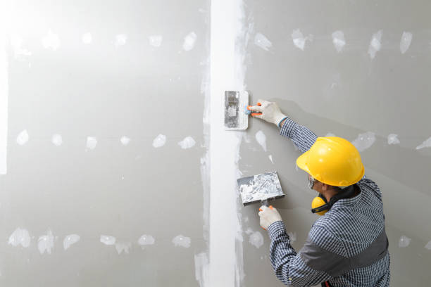 Best Forensic Mold Investigation  in Long Grove, IL
