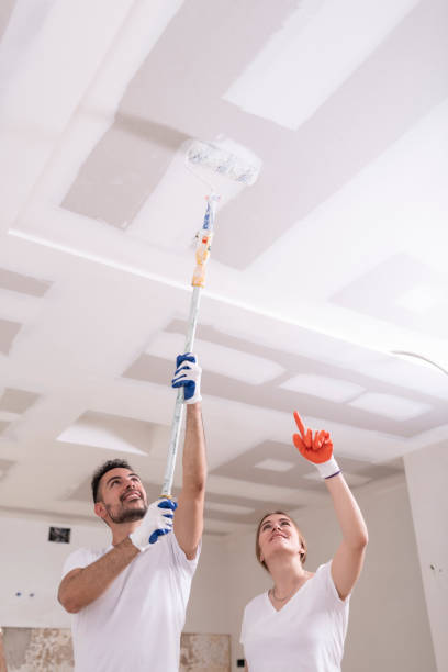 Best Airborne Mold Testing  in Long Grove, IL