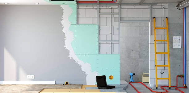 Best HVAC Mold Inspection and Cleaning  in Long Grove, IL