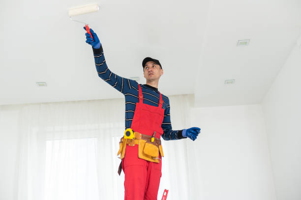 Best Residential Mold Inspection & Testing  in Long Grove, IL