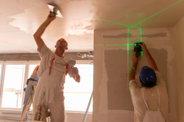 Best Mold Remediation for Healthcare Facilities  in Long Grove, IL