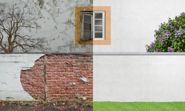 Best Post-Construction Mold Inspection  in Long Grove, IL