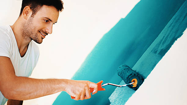Reliable Long Grove, IL Mold Removal Solutions